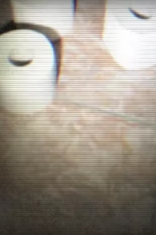 Papierkram Trailer