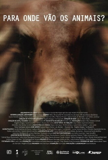 Para Onde Vão Os Animais Trailer
