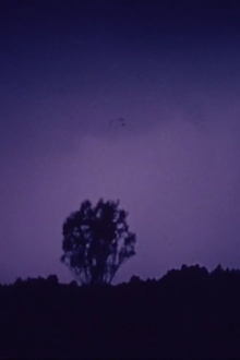 Parallax Trailer