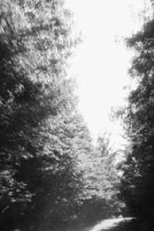 Parallel North Trailer