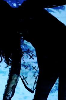 Parallels Trailer