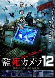 Paranormal Surveillance Camera 12 Trailer