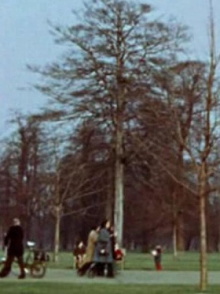 Park Film Trailer