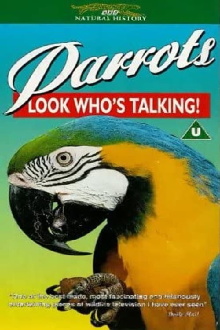 Parrots: Look Who's Talking Trailer