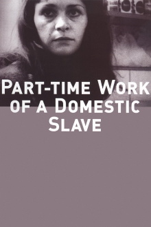 Part-Time Work of a Domestic Slave Trailer