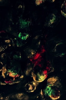 Particology Trailer