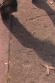 Pasos por la Ciudad Trailer