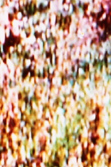 past(or)already Trailer