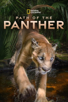 Path of the Panther Trailer