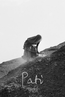 Pati Trailer