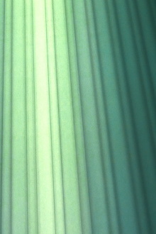 Patterns Trailer
