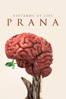 Patterns of life: Prana Trailer