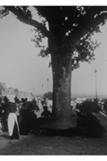 Pau : la terrasse Trailer