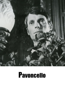 Pavoncello Trailer