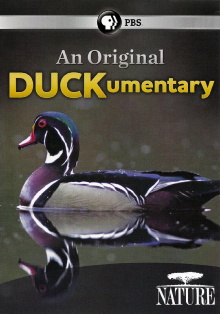 PBS Nature - An Original DUCKumentary Trailer
