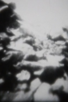 Peak Trailer