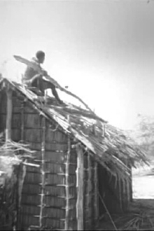 Pêche, bétail, tortues, coiffure chez les Vezo de Madagascar Trailer