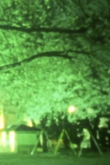Pedestrians Trailer