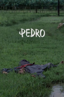Pedro Trailer