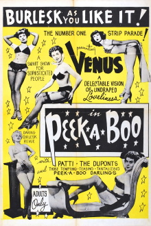 Peek-a-Boo Trailer