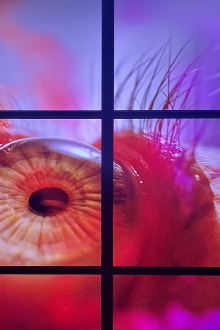 Peeping Freedom Shutters for Osakabe Sayaka (Apollomat vertical screen PFS_D) Trailer