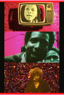 Pen Up the Pigs Trailer