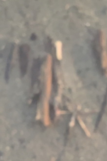 Pending Trailer