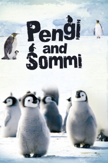 Pengi and Sommi Trailer