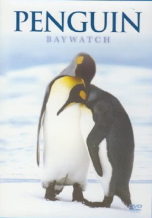 Penguin Baywatch Antarctica Trailer