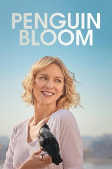 Penguin Bloom Trailer