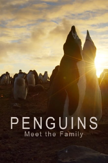 Penguins: Meet the Family Trailer