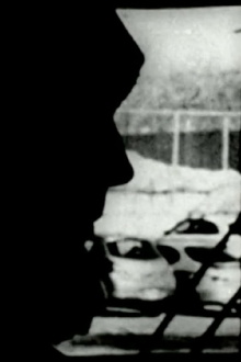 Perceptual Subjectivity Trailer