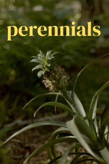 perennials Trailer