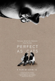 Perfect as Cats Trailer