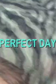 Perfect Day Trailer