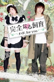 Perfect Education: A Maid for You Trailer