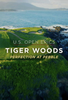 Perfection at Pebble Trailer