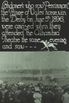 Persimmons Winning the Derby Trailer