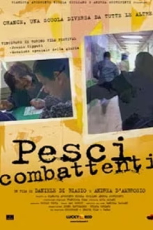 Pesci combattenti Trailer