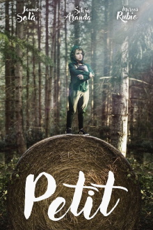 Petit Trailer