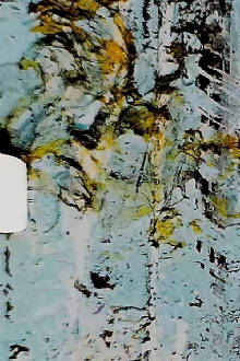 Petrified: A Moving Painting Trailer