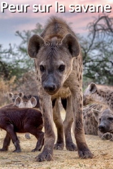 Peur sur la savane Trailer