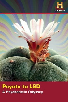 Peyote to LSD: A Psychedelic Odyssey Trailer