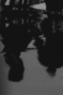 Phases of Noon Trailer