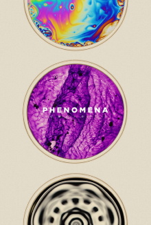 Phenomena Trailer