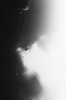 Physical Responses Trailer