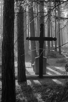 Piasnica Forest Trailer