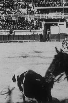 Picadors Trailer