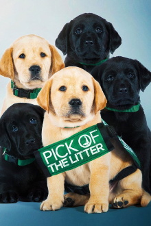 Pick of the Litter Trailer