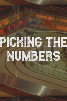 Picking the Numbers Trailer